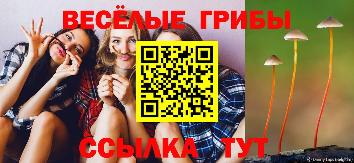 Псилоцибиновые грибы прущие грибы  Вход с VPN  Удомля 